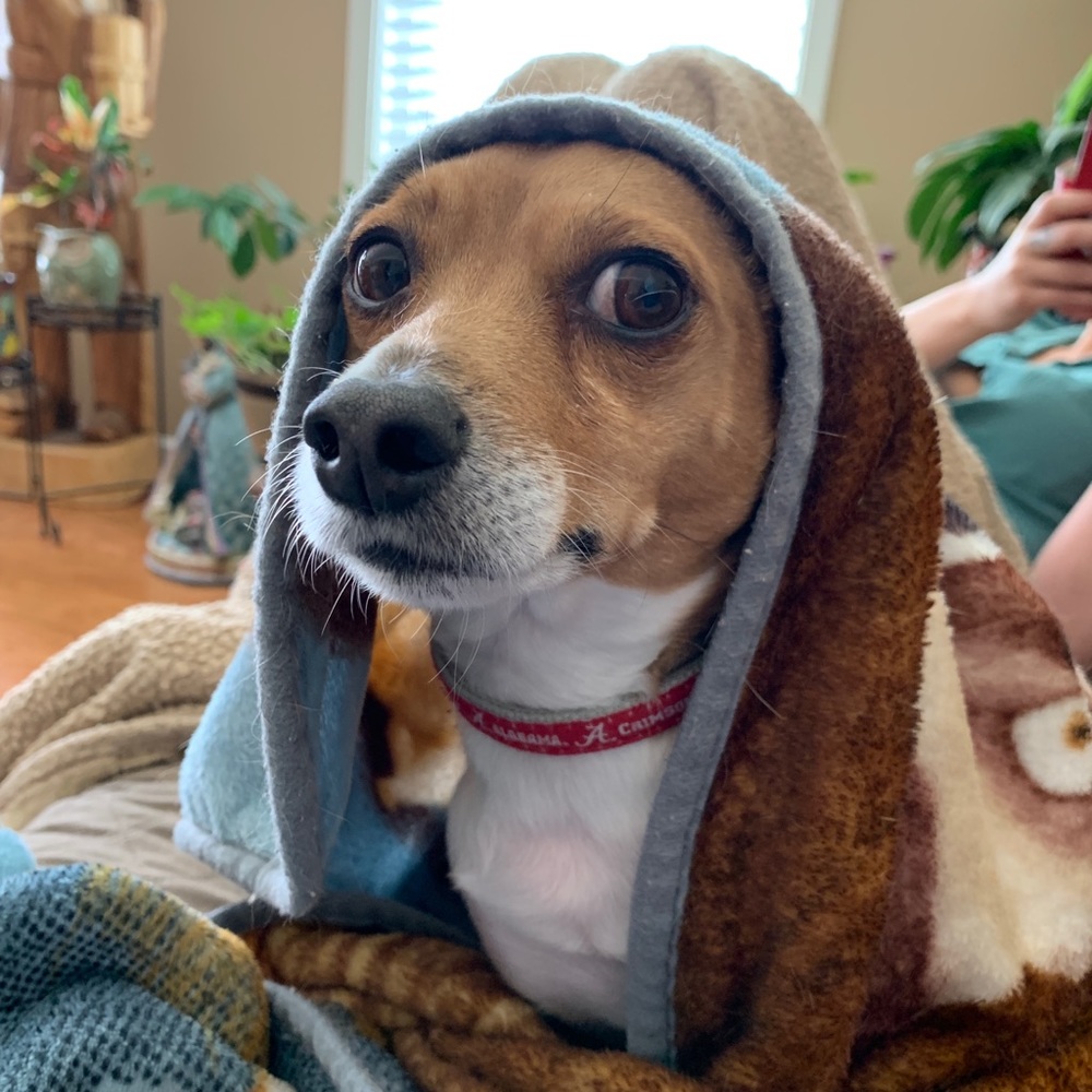 Meet your Posher, Michelle